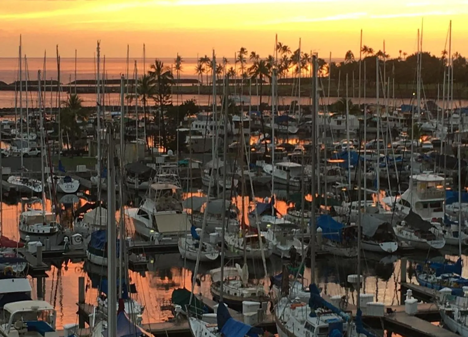 Apartamento Ilikai Marina 682 Yacht Harbor View 1Br Honolulu Estados Unidos